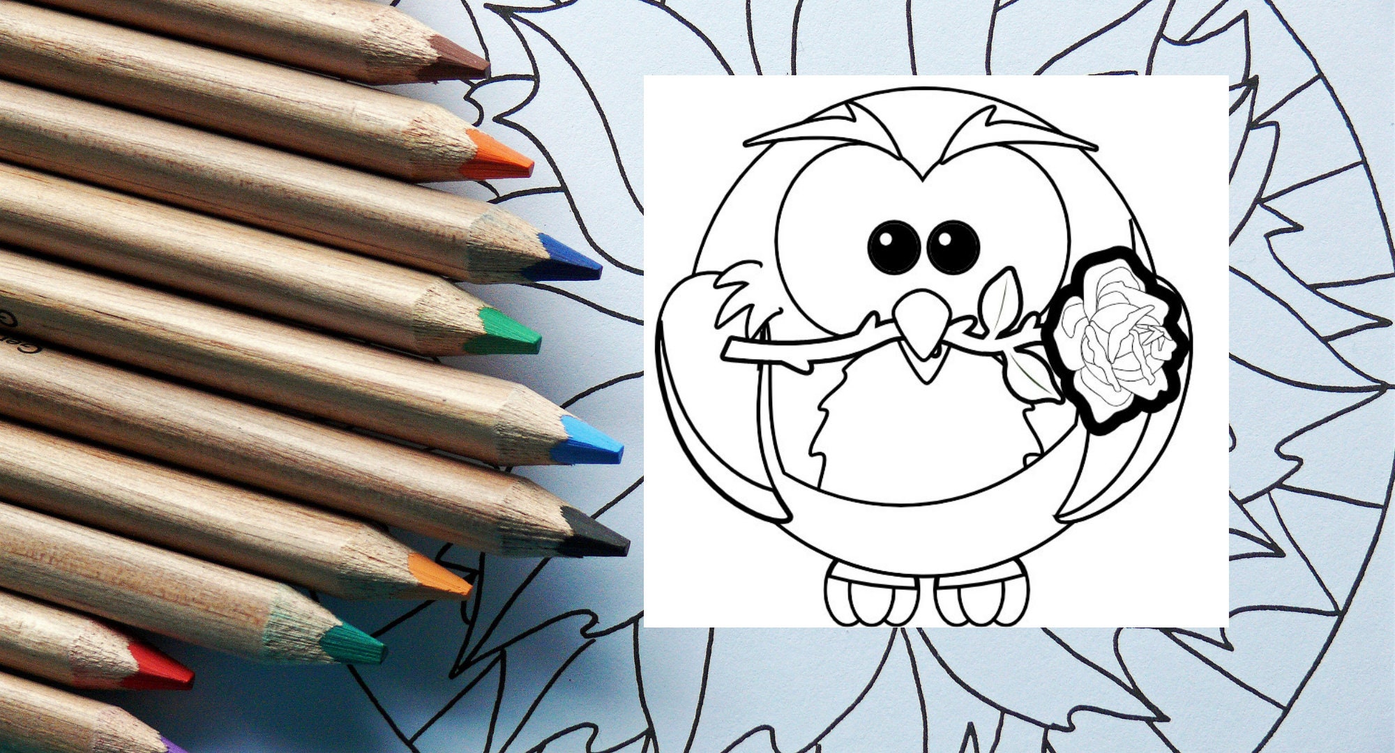 Valentine Owl Coloring Page For Adults Kids Teens Loving | Etsy