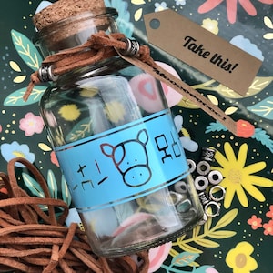 Lon Lon Milk Zelda Gamer Gift Video Game Decor Custom 10 oz Glass Bottle with Cork and Customizable Tag  Food Safe