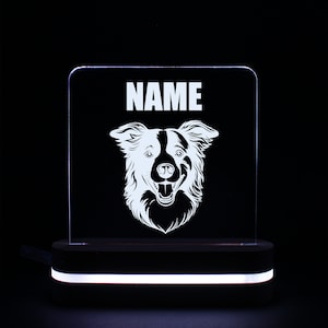 Border Collie LED Desk Light, Pet Dog LED Sign Light, Personalized Pet Name, Family Pet, Memorial, Custom Pet Name