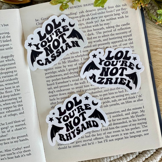 ACOTAR Sticker collection  Sarah J Maas – Ink and Stories