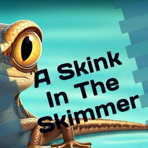 A Skink in the Skimmer