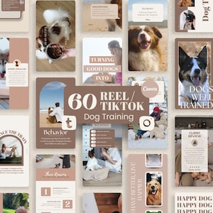 Puede incluir: Un collage de imágenes que promocionan servicios de adiestramiento canino. Las imágenes muestran perros, personas y texto que dice "60 Reel/TikTok Dog Training", "Turning Good Dogs Into", "We Have", "Behavior", "Three Reasons to Use Our Services", "Happy Dog Happy Dog Happy Dog", "Dogs Well Trained", "Client Review", "Behave Better, Live Happier" y "Train Better Than Better".