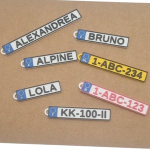 May include: A collection of miniature license plates in various colors, each with a different name or number combination. The plates include names like "ALEXANDREA", "BRUNO", and "LOLA", and number sequences like "1-ABC-234".