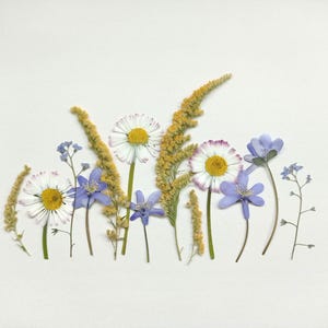 Ensemble de fleurs sauvages pressées séchées, fleurs bleues séchées, fleurs jaunes pressées, mélange de fleurs vintage pressées, art floral séché, fleurs pour bougies