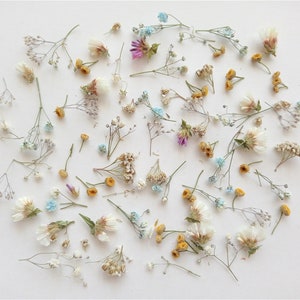 Dried tiny flower mix 50ml box, Dried baby's breath flowers, Mini flowers for resin