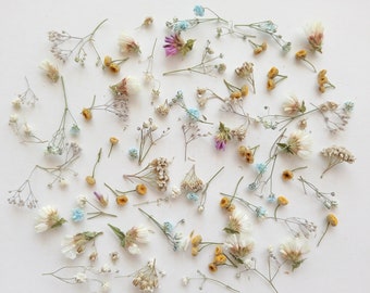 Dried tiny flower mix 50ml box, Dried baby's breath flowers, Mini flowers for resin
