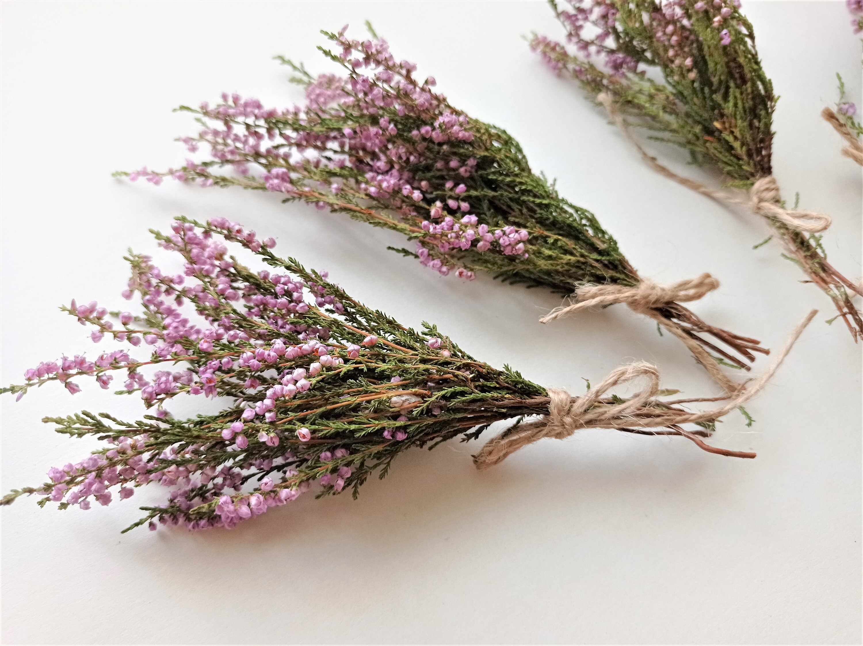 Mini Purple Dried Flowers — Myrtle Fox & Maude