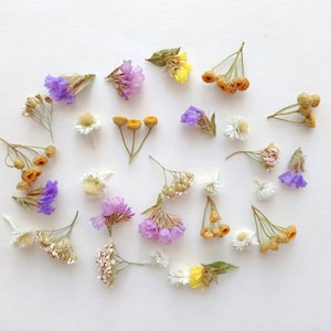 Petit mélange de fleurs séchées en boîte de 50 ml, vraies mini fleurs naturelles, fleurs en gros pour oeuvre d'art en résine