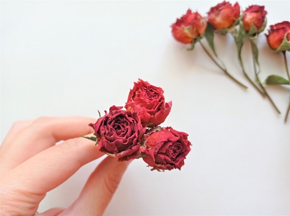 Small Deep Roses Orange Deep Red Roses