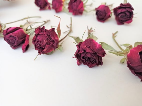 DRIED FLOWERS 25 HANDMADE ENGLISH LOGANBERRY ROSES W/FLEXIBLE STEMS WINE  COLOR