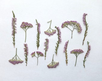 Small pink pressed flower mix 15pcs,  Mini dried purple flower set, Small dried flowers for resin, Pink invitation flowers