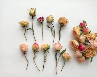 5pcs Dried Mini Roses, Dried Purple Beige Roses, Dried Tiny Roses ...