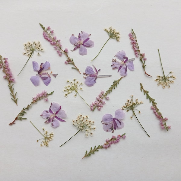 Dried pressed pink flower 20pcs, Tiny pressed purple wildflowers, Pressed white and pink flowers and leaves, Scrapbooking, Resin flower