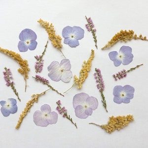 Fiori rosa pressati secchi 21 pezzi, Piccoli fiori selvatici viola pressati, Fiori e foglie gialli e rosa pressati, Scrapbooking, Fiori in resina