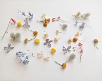 Tiny Dried Flower Etsy