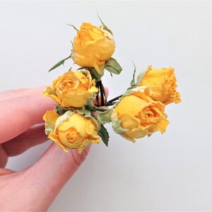 Dried tiny roses 5pcs, Dried yellow roses, Small dried rose flowers for crafts