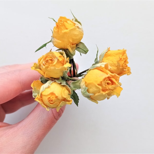 Dried tiny roses 5pcs, Dried yellow roses, Small dried rose flowers for crafts