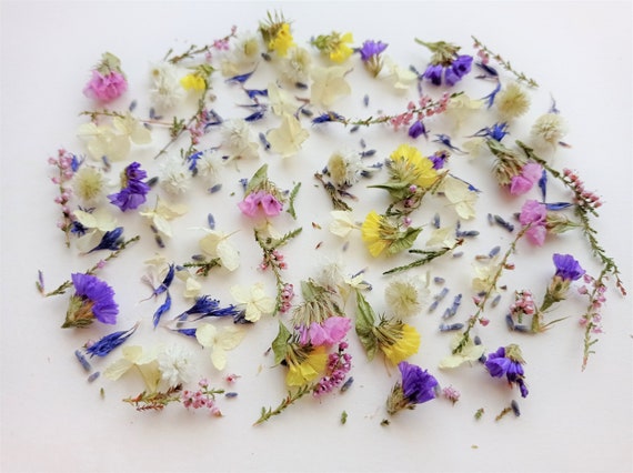 Tiny Mixed Flowers for Crafts 50ml Box, Dried Mini Flower Set for Crafts, Small  Flower Set 