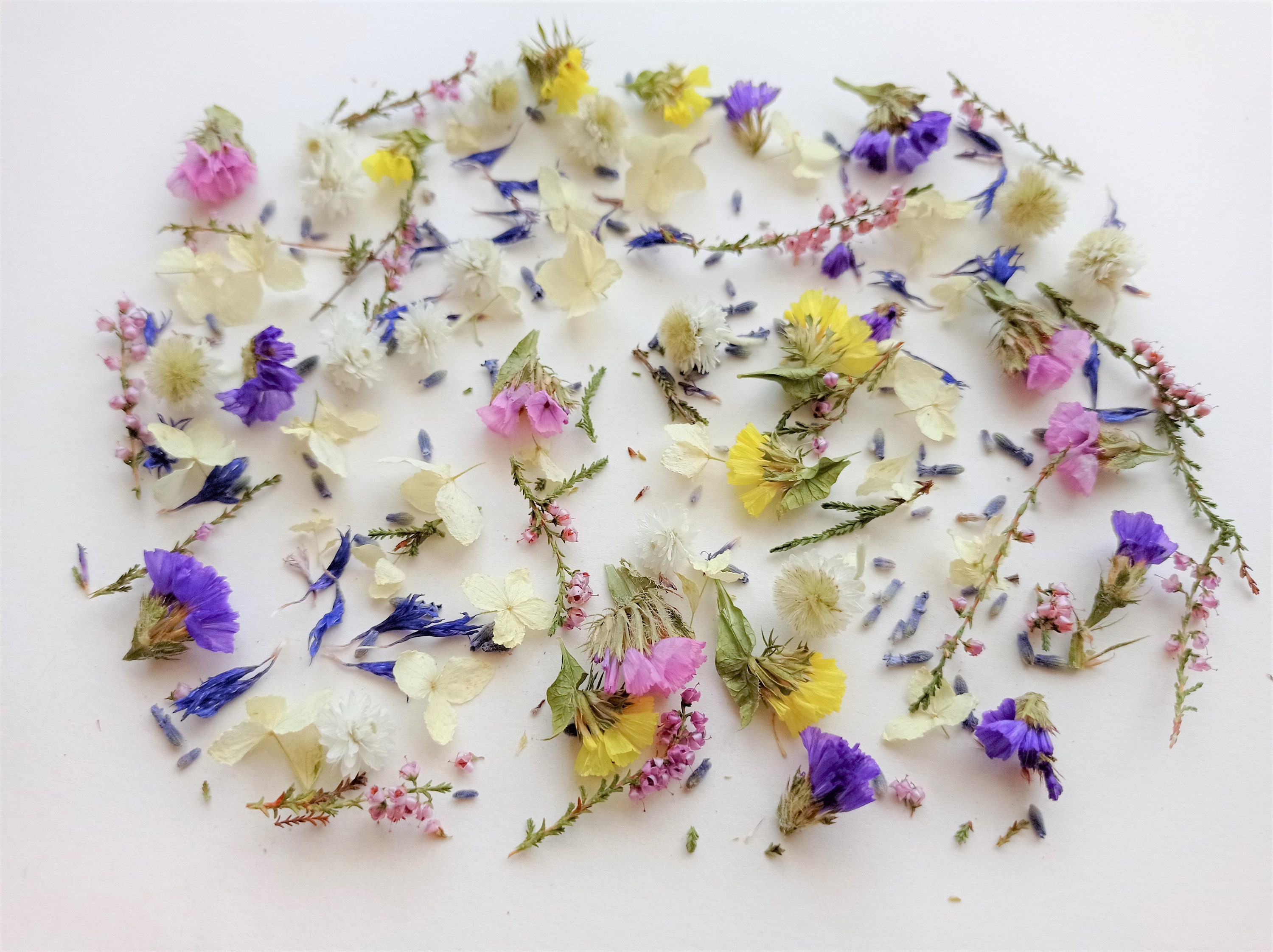 50 Pcs Small Dried Flowers,tiny Dry Flowers,flowers for Resin,box Resin  DIY, Dry Flower Supply, Dried Flowers Kit, Dried Flowers for Crafts 