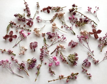 Petites fleurs séchées pour résine, boîte de 50 ml, Mini fleurs violettes séchées en vrac, Petites fleurs d'automne assorties pour bricolage