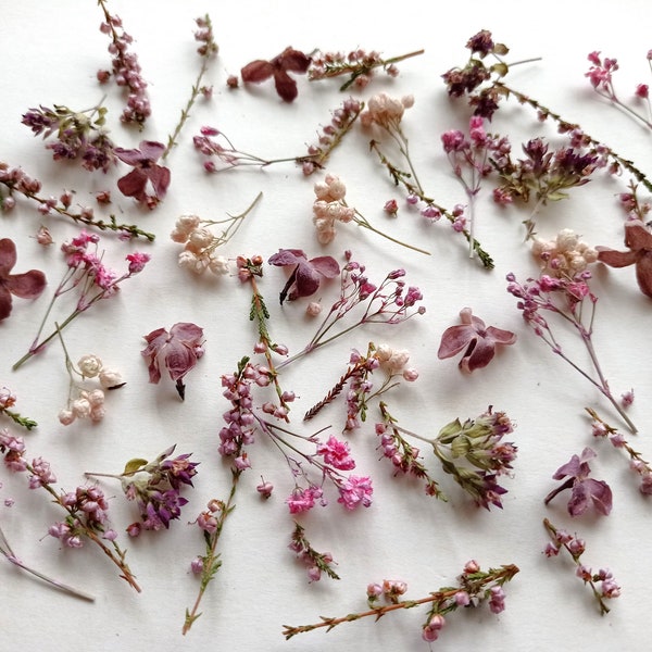 Getrocknete winzige Blumen für Harz 50ml Box, Getrocknete lose mini lila Blumen, Kleine verschiedene Herbstblumen zum Basteln