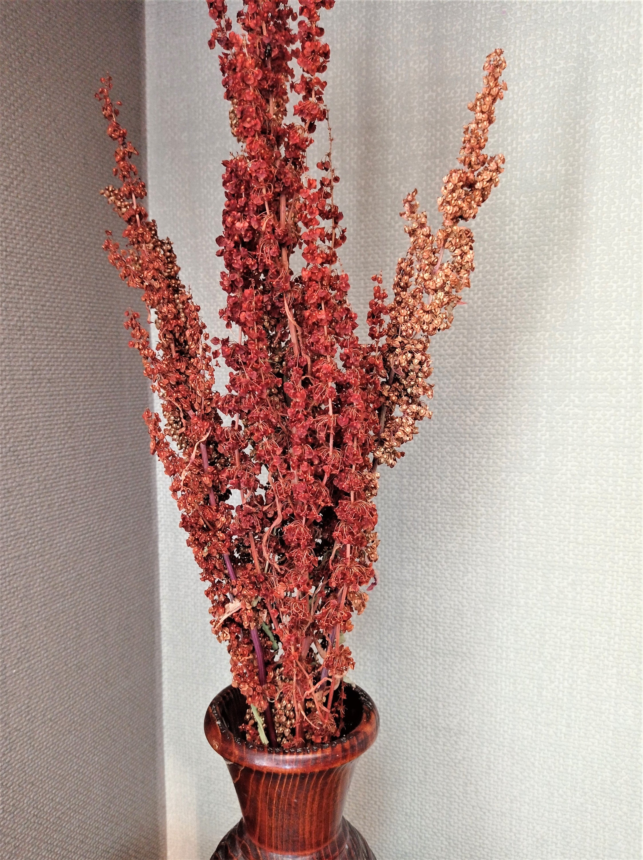 1.76/2.82/3.53oz Preserved Red Iris Flower Bundle, Dried Dodonaea Bunch,  Dried Flower Arrangement Dry Flower For Vase Filler, Home Wedding Floral  Deco