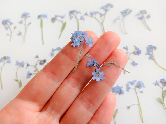 Dried Tiny Flowers for Resin 50ml Box, Dried Bulk Mini Flowers