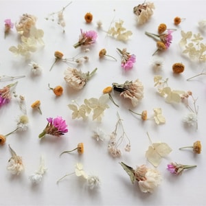 Dried tiny flower mix 50ml box, Small multicolor flowers, Bulk mini flower set