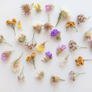 Christmas 144pcs Natural Dried Pressed Flowers For Resin,dry Flower Bulk  Natural Herbs Kit For Candle,epoxy R