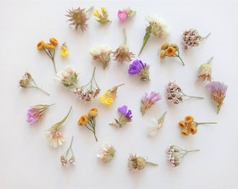 50ml box tiny dried flower mix, Real natural mini flowers, Bulk flowers for resin art
