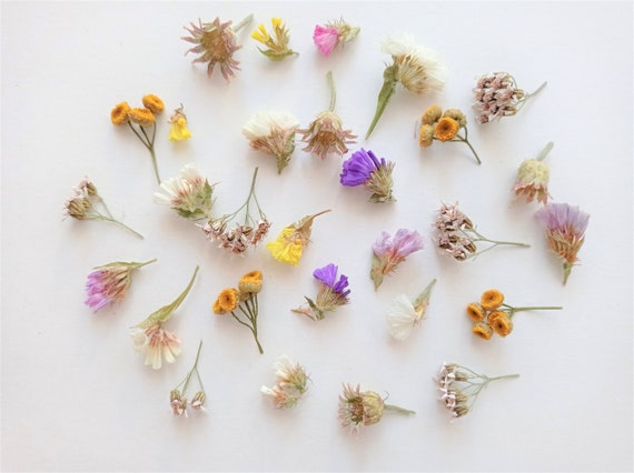 Tiny Mixed Flowers for Crafts 50ml Box, Dried Mini Flower Set for Crafts,  Small Flower Set 