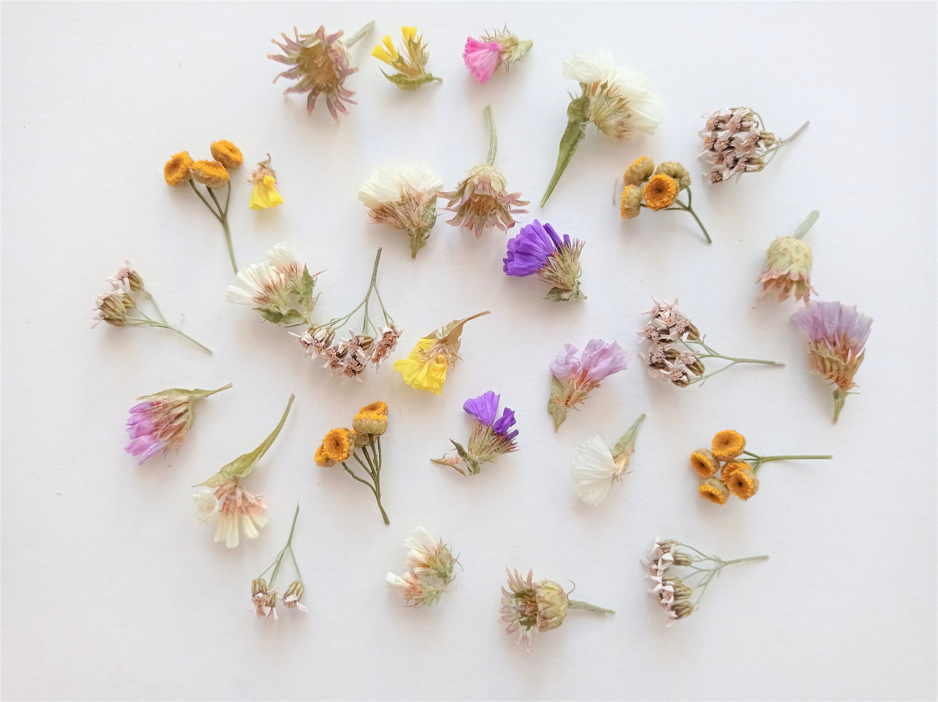 50ml box tiny dried flower mix, Real natural mini flowers, Bulk flowers for resin art