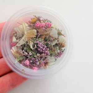 Piccoli fiori secchi per scatola in resina da 50 ml, Mini fiori secchi sfusi, Piccoli fiori assortiti per l'artigianato immagine 8