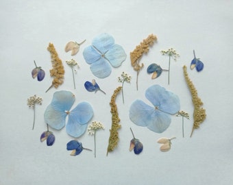 Pressed dried flowers 20pcs, Small pressed flower set, Dried flower mix for crafts, resin filling, Flowers for jewellery making