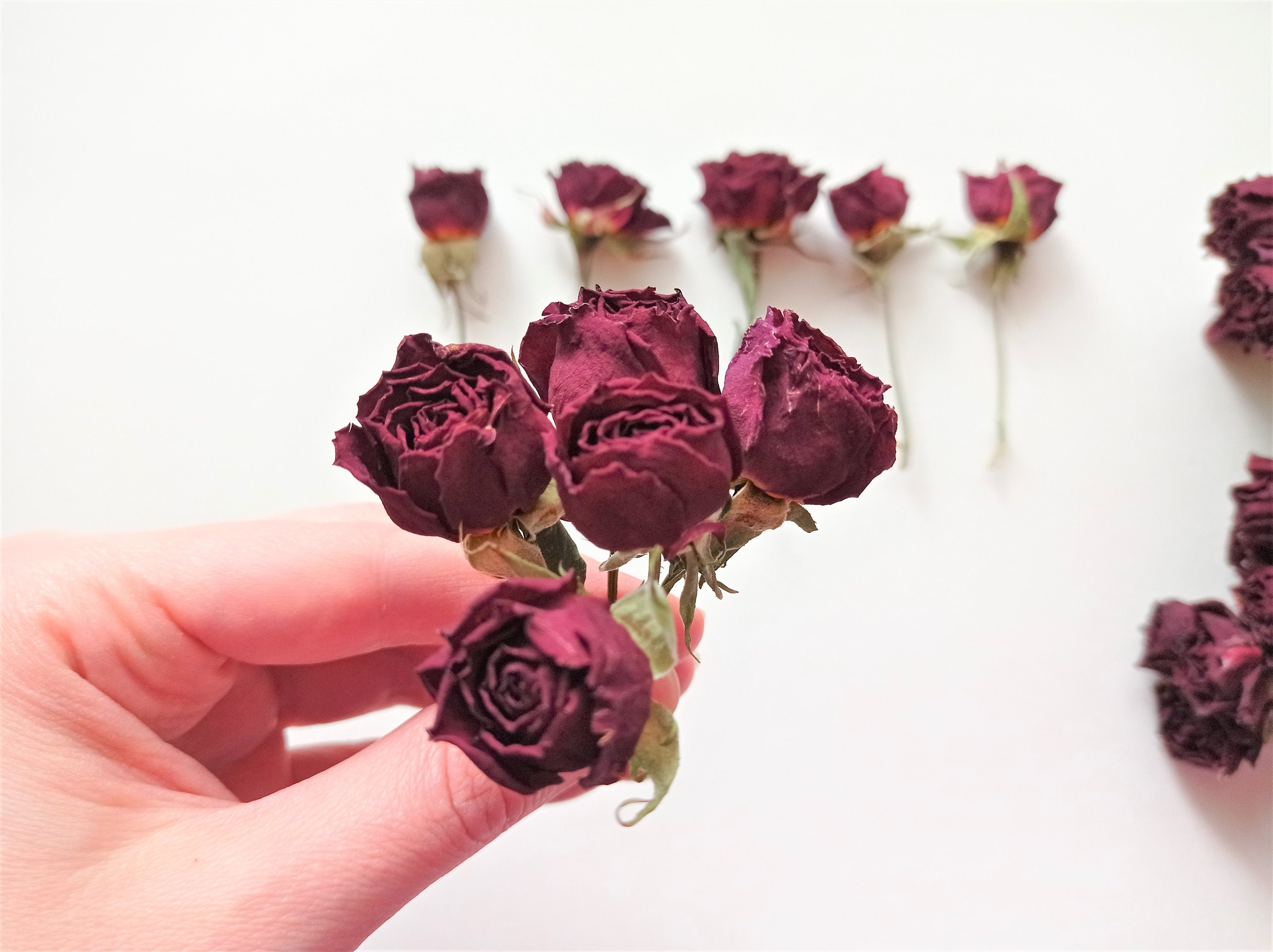 Real Air Dried 7 Stems w/ 20 Small Sweetheart Dark Red Roses Rustic Bouquet