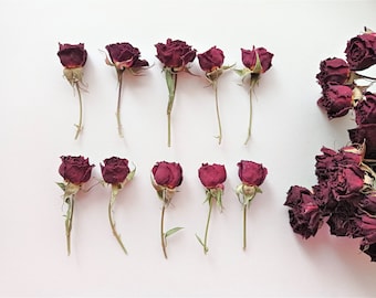 Dried Burgundy Mini Roses (5pcs) - Floral & Resin Crafts