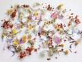 Dried tiny flowers for resin 50ml box, Dried bulk mini flowers, Small assorted flowers for crafts product logo