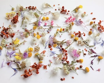 Dried tiny flowers for resin 50ml box, Dried bulk mini flowers, Small assorted flowers for crafts