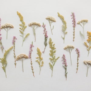 Botânicos secos prensados 20 peças, Conjunto de flores prensadas, Mistura de flores prensadas rosa amarelas, Flores para scrapbooking