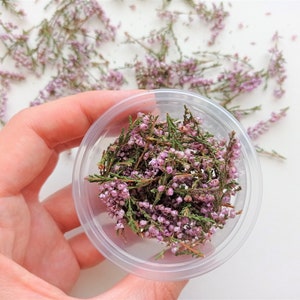 Smallest purple pink flowers 50ml box, Dried mini heather, Dried tiny pink flower, Dried purple flower set, Flower confetti, Petal confetti