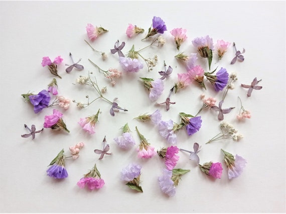 Tiny Pink Flower Mix 50ml Box, Mini Purple Flower Set, Small Dried