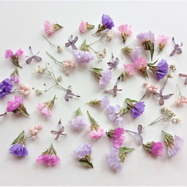 Tiny pink flower mix 50ml box, Mini purple flower set, Small dried flowers for resin