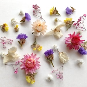 Mini Dried Flower Mix: Natural Bulk Flowers for Resin Art (80ml)