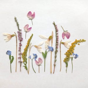 Set di fiori selvatici multicolori pressati e secchi, fiori rosa secchi, mix di fiori pressati, fiori artistici secchi, fiori per candele