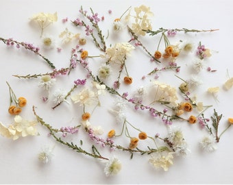 Dried tiny flowers for resin 50ml box, Dried ivory bulk mini flowers, Small multicolor assorted flowers for crafts