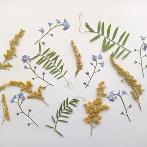 Lot de 15 fleurs pressées, mélange de fleurs d'été pressées séchées, fleurs délicates pressées en vrac, verdure pressée, plantes botaniques pressées