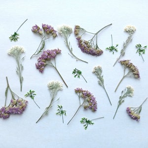 Juego de flores prensadas, 20 piezas, mezcla de flores reales prensadas secas, flores prensadas a granel, vegetación prensada