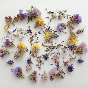 Dried Mini Flower Mix: Tiny Assorted Flowers for Resin Crafts