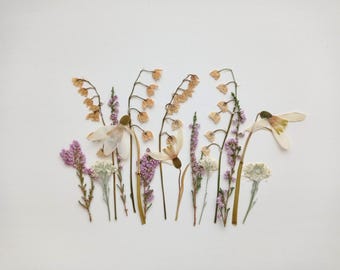 Dried pressed wildflower set, Dried pink flowers, Pressed pastel flowers, Pressed vintage flower mix, Dried flower art, Flowers for candles