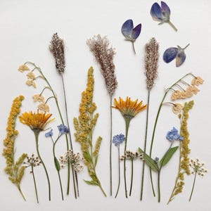 Dried pressed wildflower set, Dried pink flowers, Pressed yellow flowers, Pressed flower mix, Dried flowar art, Flowers for candles